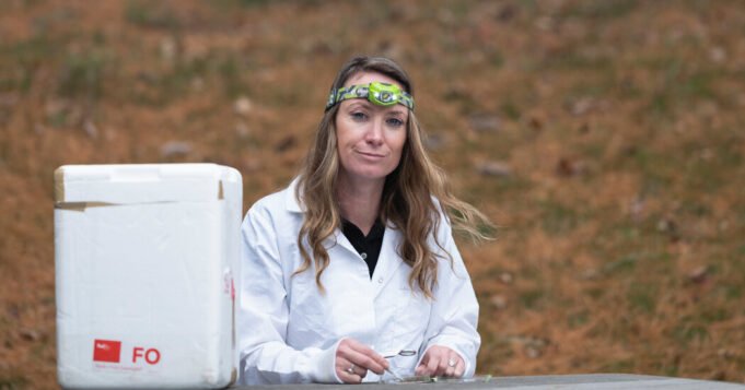 她研究蚊子來預防瘧疾 她研究蚊子來預防瘧疾
| mtgamer.com