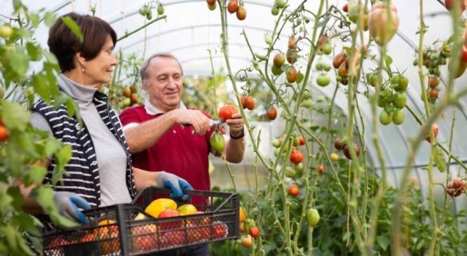 專家表示，美國老年人應該計劃帶著 6 位數的 HSA 退休。但很少有人意識到這個帳戶的“全部潛力”
| mtgamer.com