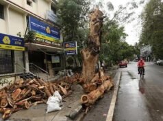 巨人對 CPR Salai 的嘆息
| mtgamer.com 巨人對 CPR Salai 的嘆息
| mtgamer.com