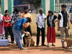 您需要了解的有關欽奈寵物狗和貓的許可的所有信息
| mtgamer.com 您需要了解的有關欽奈寵物狗和貓的許可的所有信息
| mtgamer.com