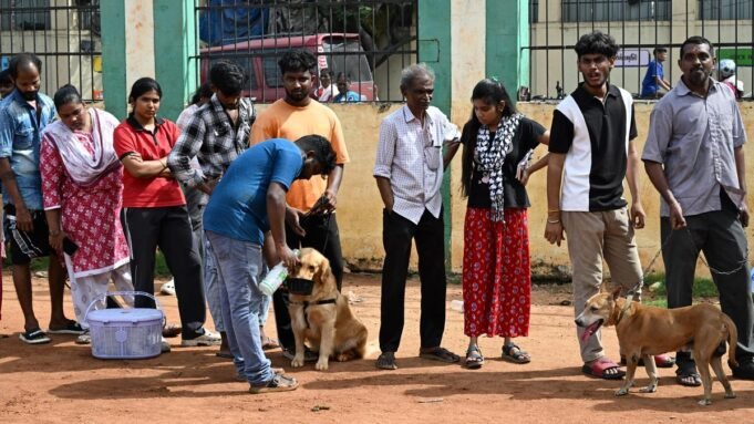 您需要了解的有關欽奈寵物狗和貓的許可的所有信息
| mtgamer.com