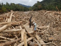 應對致命洪水的新時代
| mtgamer.com 應對致命洪水的新時代
| mtgamer.com