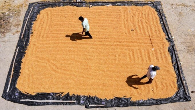 政府。向 KSCMF 發出命令，向釀酒廠採購和供應玉米
| mtgamer.com