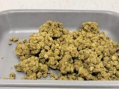 海關官員在欽奈機場從三名乘客身上查獲紅耳龜
| mtgamer.com 海關官員在欽奈機場從三名乘客身上查獲紅耳龜
| mtgamer.com