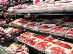 為什麼牛肉價格離便宜還有很長的路要走
| mtgamer.com 為什麼牛肉價格離便宜還有很長的路要走
| mtgamer.com