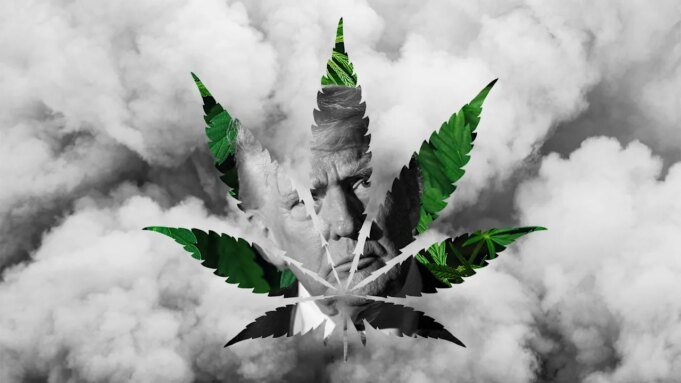 特朗普傳聞中的 Sc 特朗普傳聞中的 Schedule 3 大麻變更導致大麻股票飆升。底池股能漲到多高?
| mtgamer.com