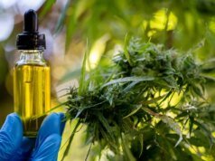 特朗普的大麻令為大麻產業提供了生命線
| mtgamer.com 特朗普的大麻令為大麻產業提供了生命線
| mtgamer.com