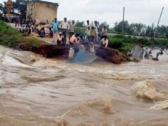 科西河的河道變化如何暴露了堤壩的危險
| mtgamer.com 科西河的河道變化如何暴露了堤壩的危險
| mtgamer.com