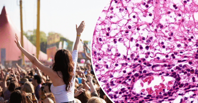 節日隱藏的健康風險揭曉
| mtgamer.com