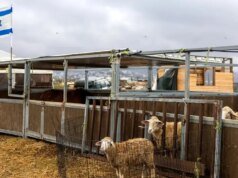 英國、加拿大、德國等國譴責以色列約旦河西岸定居點計劃
| mtgamer.com 英國、加拿大、德國等國譴責以色列約旦河西岸定居點計劃
| mtgamer.com