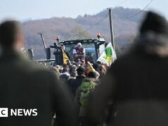 農民呼籲法國封鎖疾病宰殺奶牛
| mtgamer.com 農民呼籲法國封鎖疾病宰殺奶牛
| mtgamer.com