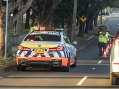 這是一個全年都會給你雙倍扣分的州
| mtgamer.com 這是一個全年都會給你雙倍扣分的州
| mtgamer.com