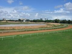 金奈迫切需要在Guindy的馬德拉斯賽馬俱樂部土地上建立生態公園:馬德拉斯高等法院
| mtgamer.com 金奈迫切需要在Guindy的馬德拉斯賽馬俱樂部土地上建立生態公園:馬德拉斯高等法院
| mtgamer.com