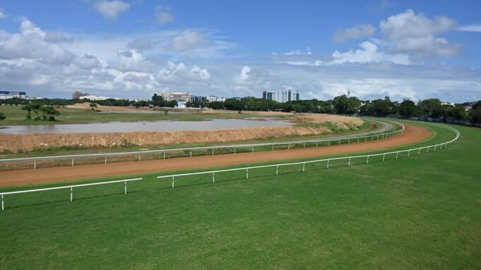 金奈迫切需要在Guindy的馬德拉斯賽馬俱樂部土地上建立生態公園：馬德拉斯高等法院
| mtgamer.com