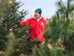 關稅、投入成本給聖誕樹價格帶來壓力
| mtgamer.com 關稅、投入成本給聖誕樹價格帶來壓力
| mtgamer.com