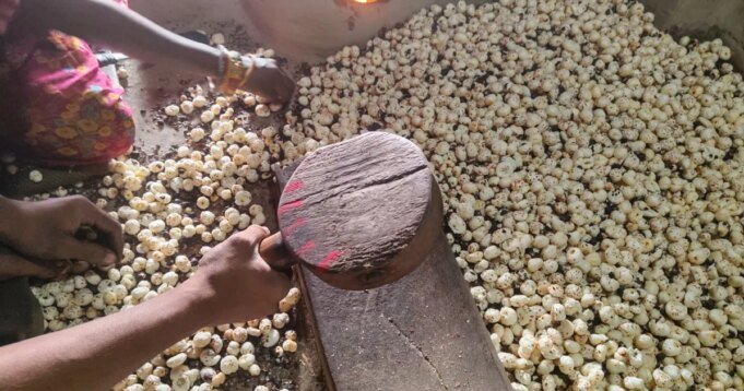 隨著特朗普的關稅打擊印度狐堅果，這種超級食品瞄準了新市場
| mtgamer.com