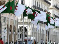 非洲國家推動承認阿爾及利亞殖民主義罪行
| mtgamer.com 非洲國家推動承認阿爾及利亞殖民主義罪行
| mtgamer.com