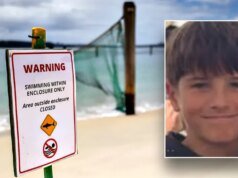 12 歲男孩在熱門懸崖跳水點游泳時遭鯊魚襲擊身亡:“我們心碎”
| mtgamer.com 12 歲男孩在熱門懸崖跳水點游泳時遭鯊魚襲擊身亡:“我們心碎”
| mtgamer.com