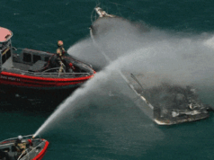 一艘船在維多利亞菲利普港灣起火後沉沒
| mtgamer.com 一艘船在維多利亞菲利普港灣起火後沉沒
| mtgamer.com