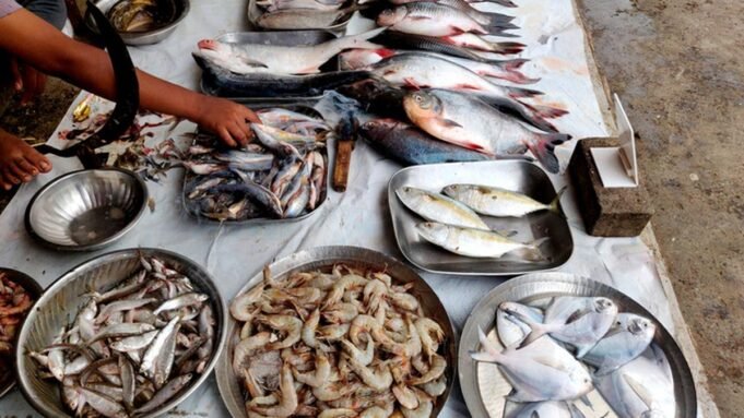 使您的魚籃多樣化以吸 使您的魚籃多樣化以吸引新市場:從南亞野鯪、喀拉鯪到小蝦、羅非魚、鯰魚
| mtgamer.com