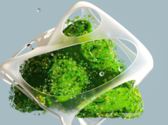 停止追逐“綠色”航空燃料
| mtgamer.com 停止追逐“綠色”航空燃料
| mtgamer.com