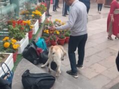 古爾岡學校收到炸彈威脅,搜查後宣佈為騙局
| mtgamer.com 古爾岡學校收到炸彈威脅,搜查後宣佈為騙局
| mtgamer.com