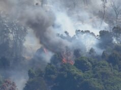 奧特威大火威脅遠至洛恩的城鎮,1000多戶家庭被疏散
| mtgamer.com 奧特威大火威脅遠至洛恩的城鎮,1000多戶家庭被疏散
| mtgamer.com