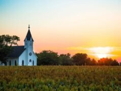 如何為您的家人尋找教堂的六個技巧
| mtgamer.com 如何為您的家人尋找教堂的六個技巧
| mtgamer.com