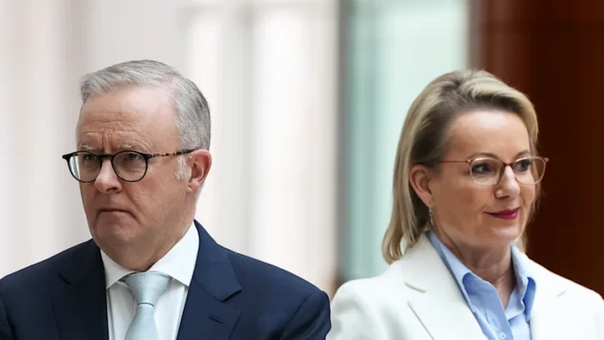 對言論自由的擔憂激起了聯盟對仇恨言論法案的抵制
| mtgamer.com