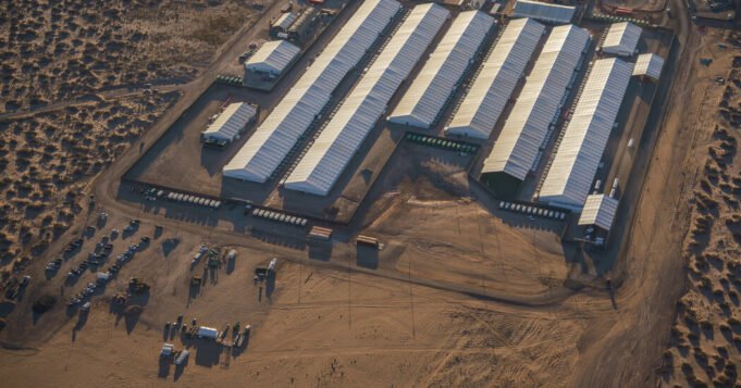 屍檢顯示，埃爾帕索 ICE 設施中的古巴被拘留者死於他殺
| mtgamer.com