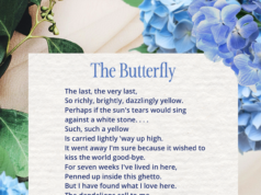 帕維爾·弗里德曼的《蝴蝶》
| mtgamer.com 帕維爾·弗里德曼的《蝴蝶》
| mtgamer.com