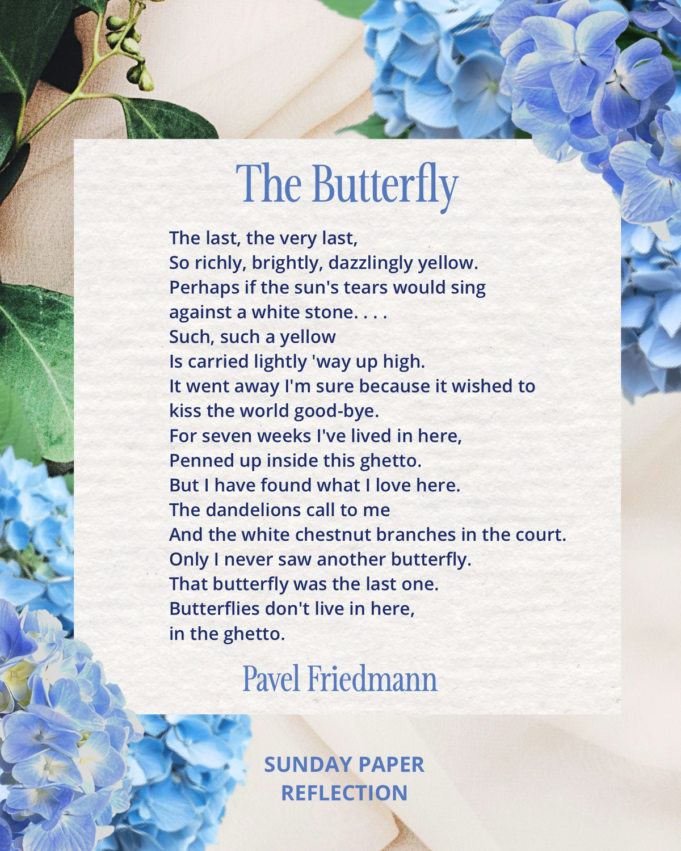 帕維爾·弗里德曼的《蝴蝶》
 | mtgamer.com