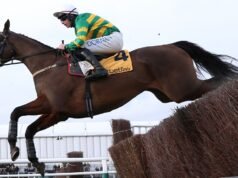 斯皮蘭塔 (Spilane’s Tower) 因科茨沃爾德蔡斯 (Cotswold Chase) 勝利而反彈
| mtgamer.com 斯皮蘭塔 (Spilane's Tower) 因科茨沃爾德蔡斯 (Cotswold Chase) 勝利而反彈
| mtgamer.com