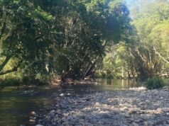 新南威爾士州河流溺水,兩人死亡,女子傷勢嚴重
| mtgamer.com 新南威爾士州河流溺水,兩人死亡,女子傷勢嚴重
| mtgamer.com