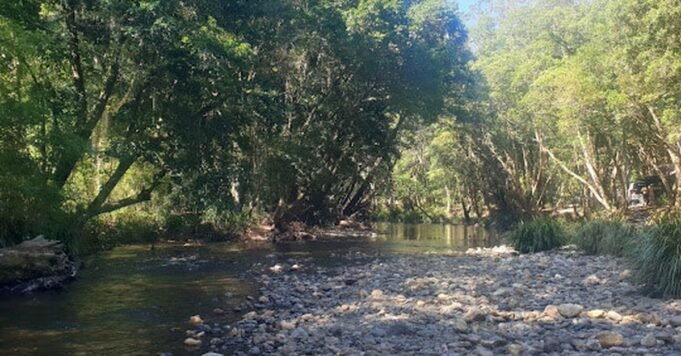 新南威爾士州河流溺水，兩人死亡，女子傷勢嚴重
 | mtgamer.com