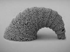 新型激光驅動光流控技術可實現金屬和微型機器人的 3D 微打印
| mtgamer.com 新型激光驅動光流控技術可實現金屬和微型機器人的 3D 微打印
| mtgamer.com