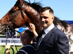 新秀練馬師憑藉夢想馬匹在蘭德威克大放異彩
| mtgamer.com 新秀練馬師憑藉夢想馬匹在蘭德威克大放異彩
| mtgamer.com