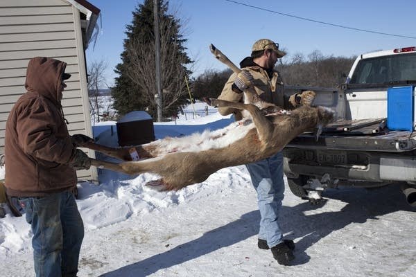 明尼蘇達州慢性消耗性 明尼蘇達州慢性消耗性疾病呈上升趨勢,但仍然是“罕見事件”
| mtgamer.com