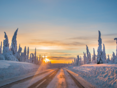 有一條更好的路
| mtgamer.com 有一條更好的路
| mtgamer.com