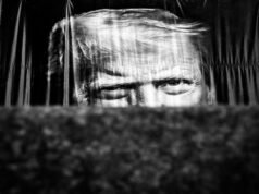 特朗普的崩潰
| mtgamer.com 特朗普的崩潰
| mtgamer.com