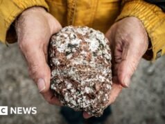 特朗普覬覦礦產豐富的格陵蘭島,但它到底擁有哪些自然資源呢?
| mtgamer.com 特朗普覬覦礦產豐富的格陵蘭島,但它到底擁有哪些自然資源呢?
| mtgamer.com