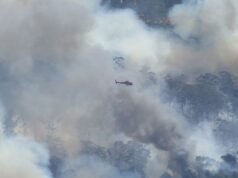 維多利亞州鄉村叢林大火達到緊急狀態
| mtgamer.com 維多利亞州鄉村叢林大火達到緊急狀態
| mtgamer.com