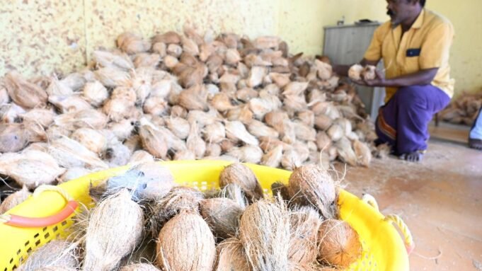 農民對公開市場椰子價 農民對公開市場椰子價格下跌表示遺憾
| mtgamer.com