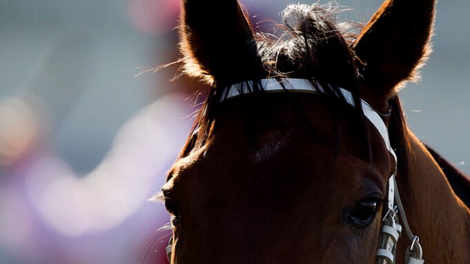 週日懷昂的提示和逐場比賽指南
 | mtgamer.com