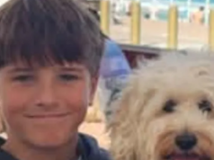 鯊魚襲擊受害者 12 歲的尼科·安蒂克 (Nico Antic) 在醫院去世
| mtgamer.com 鯊魚襲擊受害者 12 歲的尼科·安蒂克 (Nico Antic) 在醫院去世
| mtgamer.com